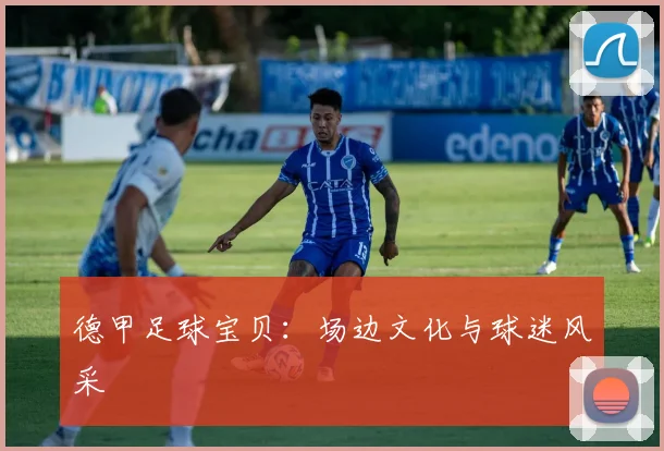 德甲足球宝贝：场边文化与球迷风采