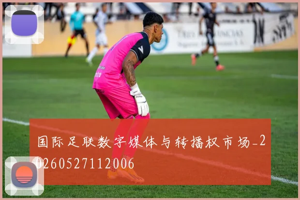国际足联数字媒体与转播权市场_20260527112006